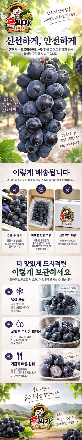 20Brix+ 껍질째 먹는 프리미엄 오로라 블랙 포도 2kg 상세 사진