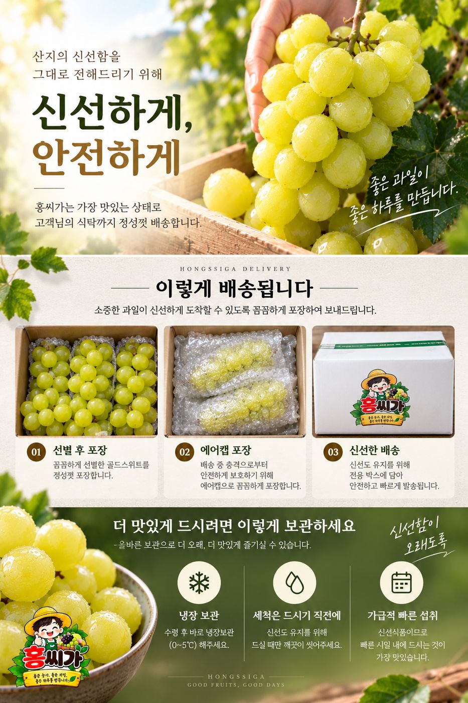 김천 포도명인 고당도 골드스위트 신품종 포도 1KG / 2KG 상세 사진