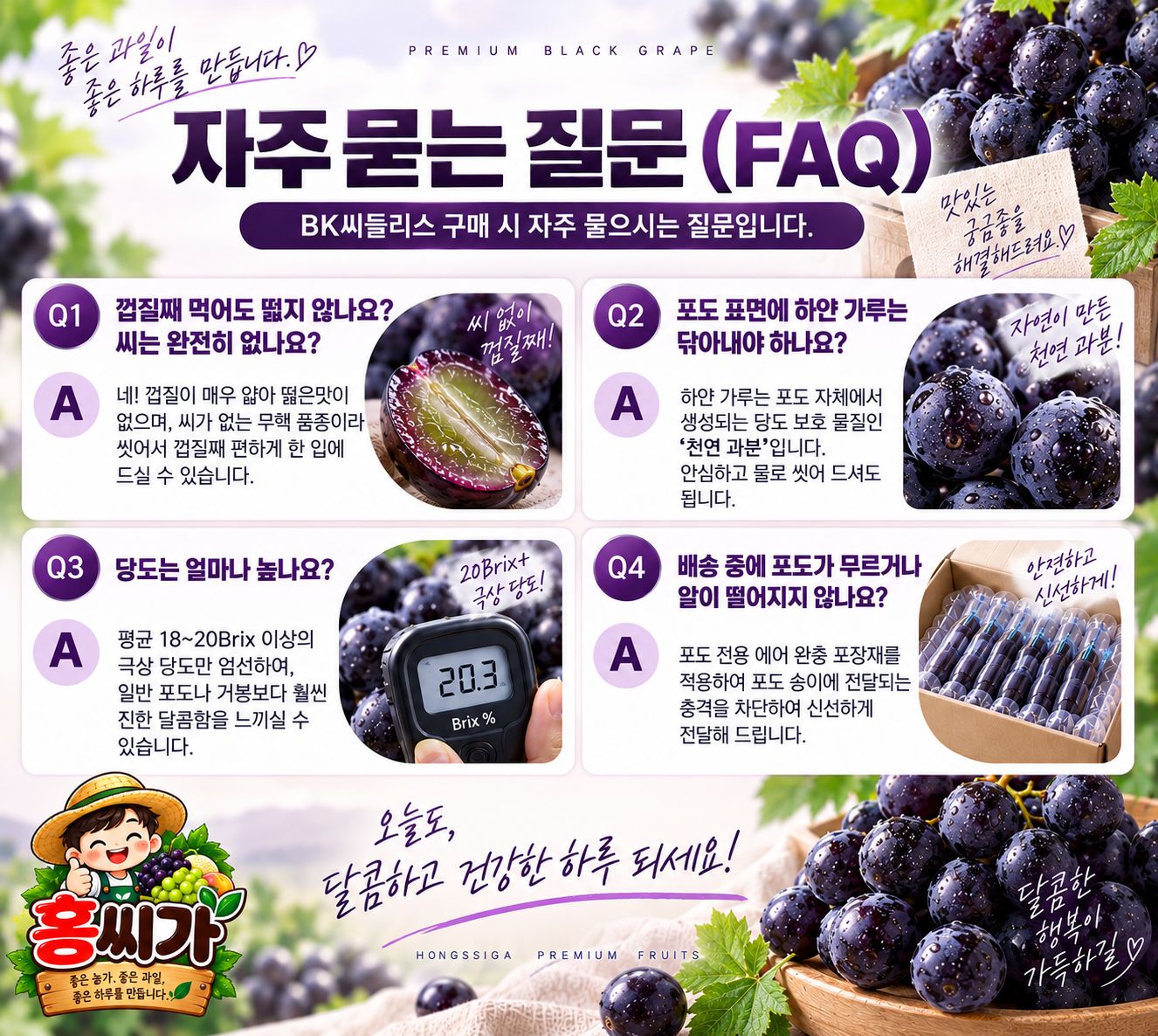 [산지직송] 씨 없는 포도 극당도 BK씨들리스 1kg / 2kg 상세 사진