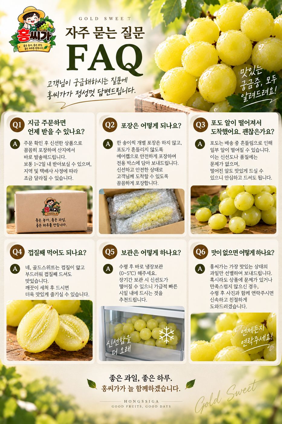 김천 포도명인 고당도 골드스위트 신품종 포도 1KG / 2KG 상세 사진