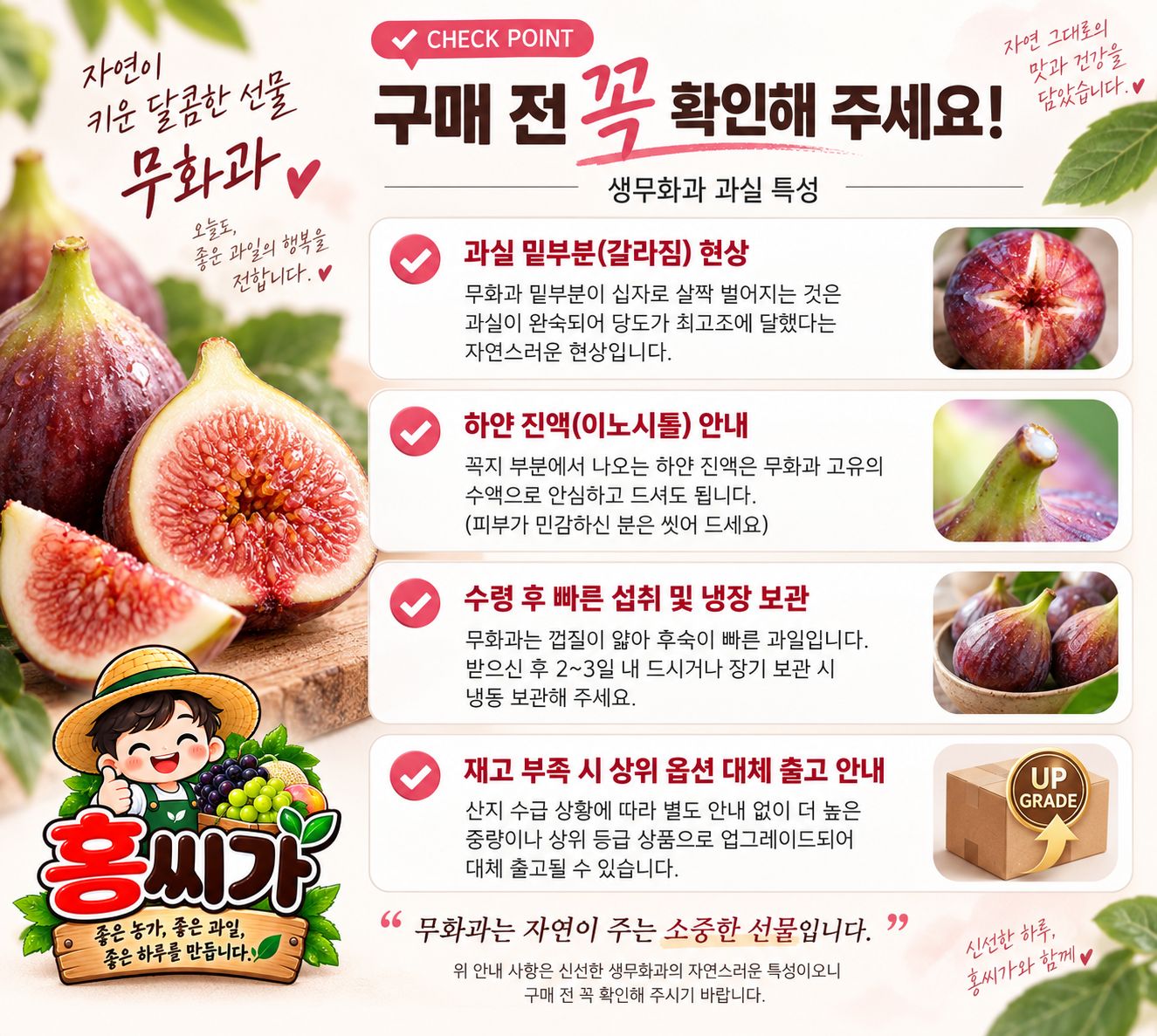 [달콤 촉촉 당도선별] 12~15Brix+ 꿀이 뚝뚝 프리미엄 생무화과 상세 사진