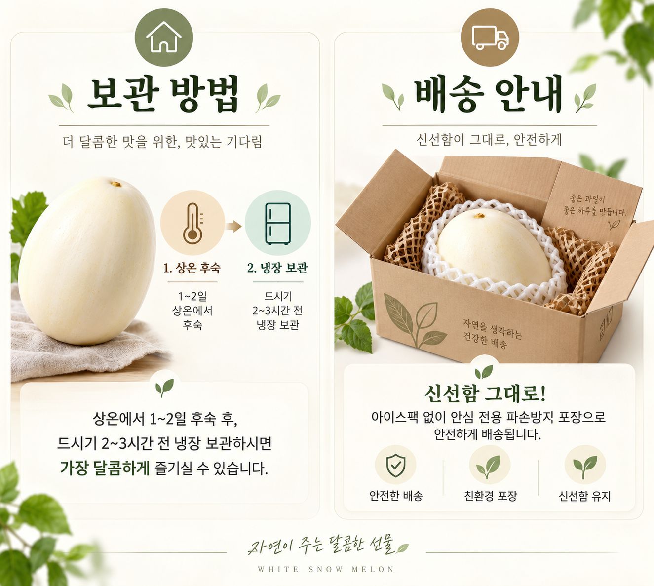 고당도 백설 메론 (수신메론/설향메론) 상세 사진
