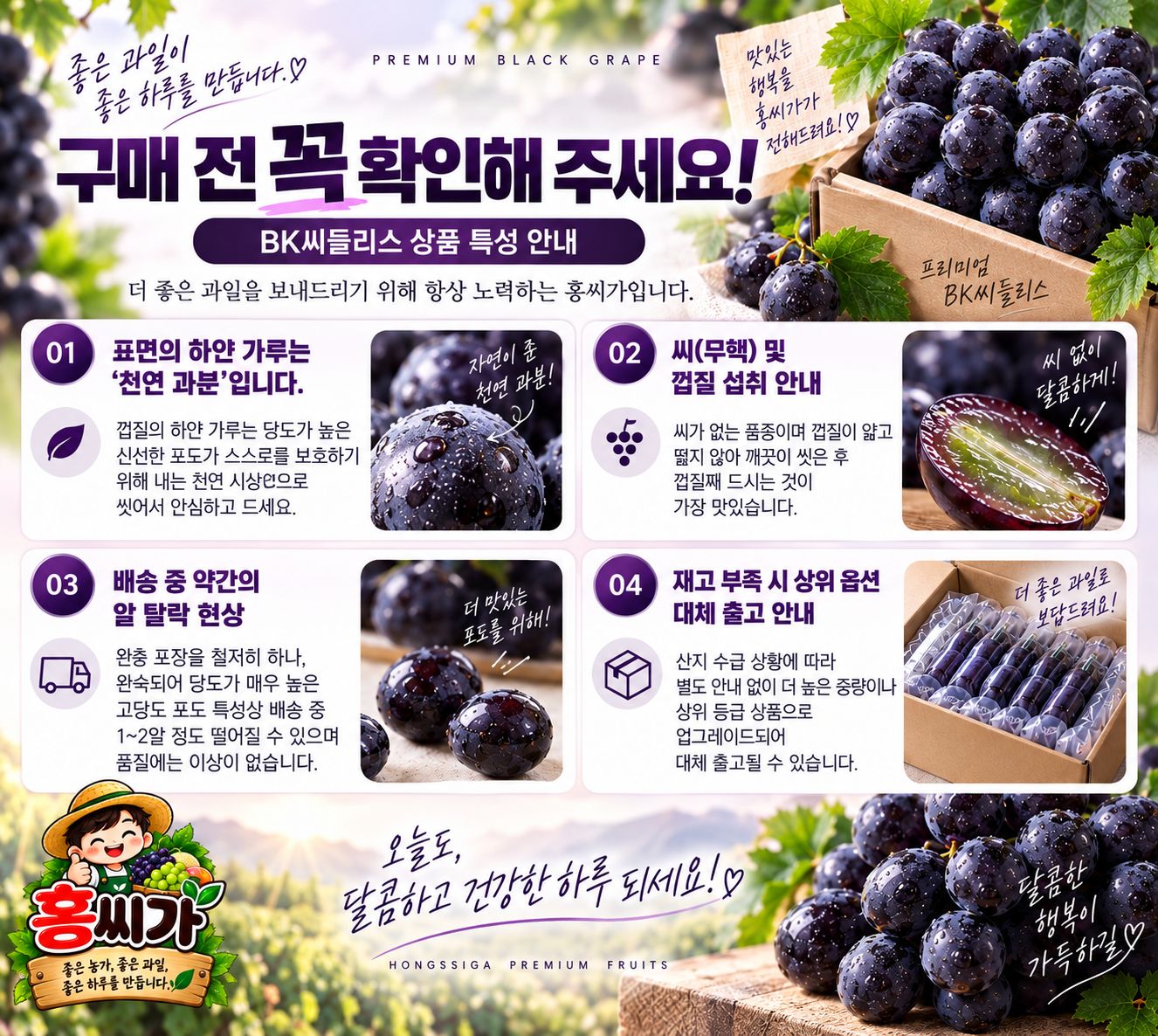 [산지직송] 씨 없는 포도 극당도 BK씨들리스 1kg / 2kg 상세 사진