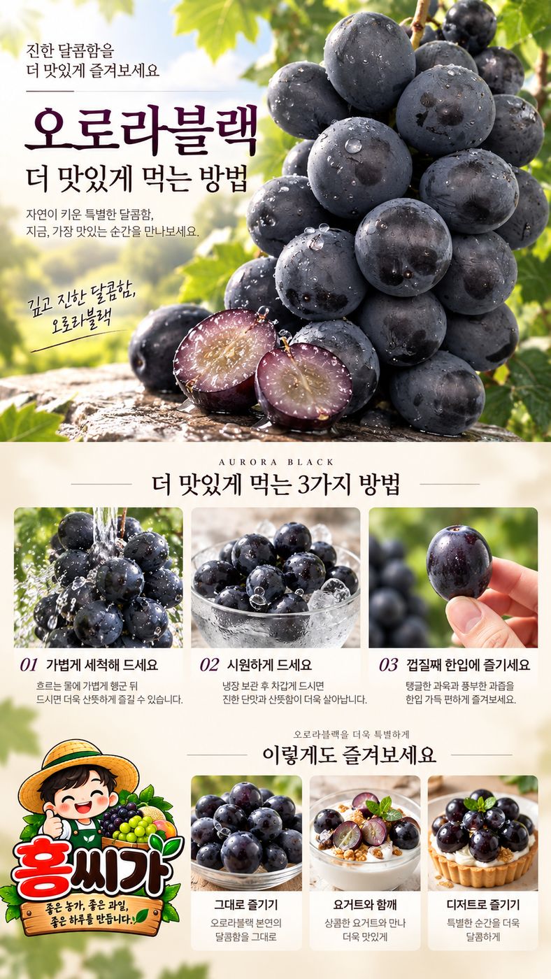 20Brix+ 껍질째 먹는 프리미엄 오로라 블랙 포도 2kg 상세 사진