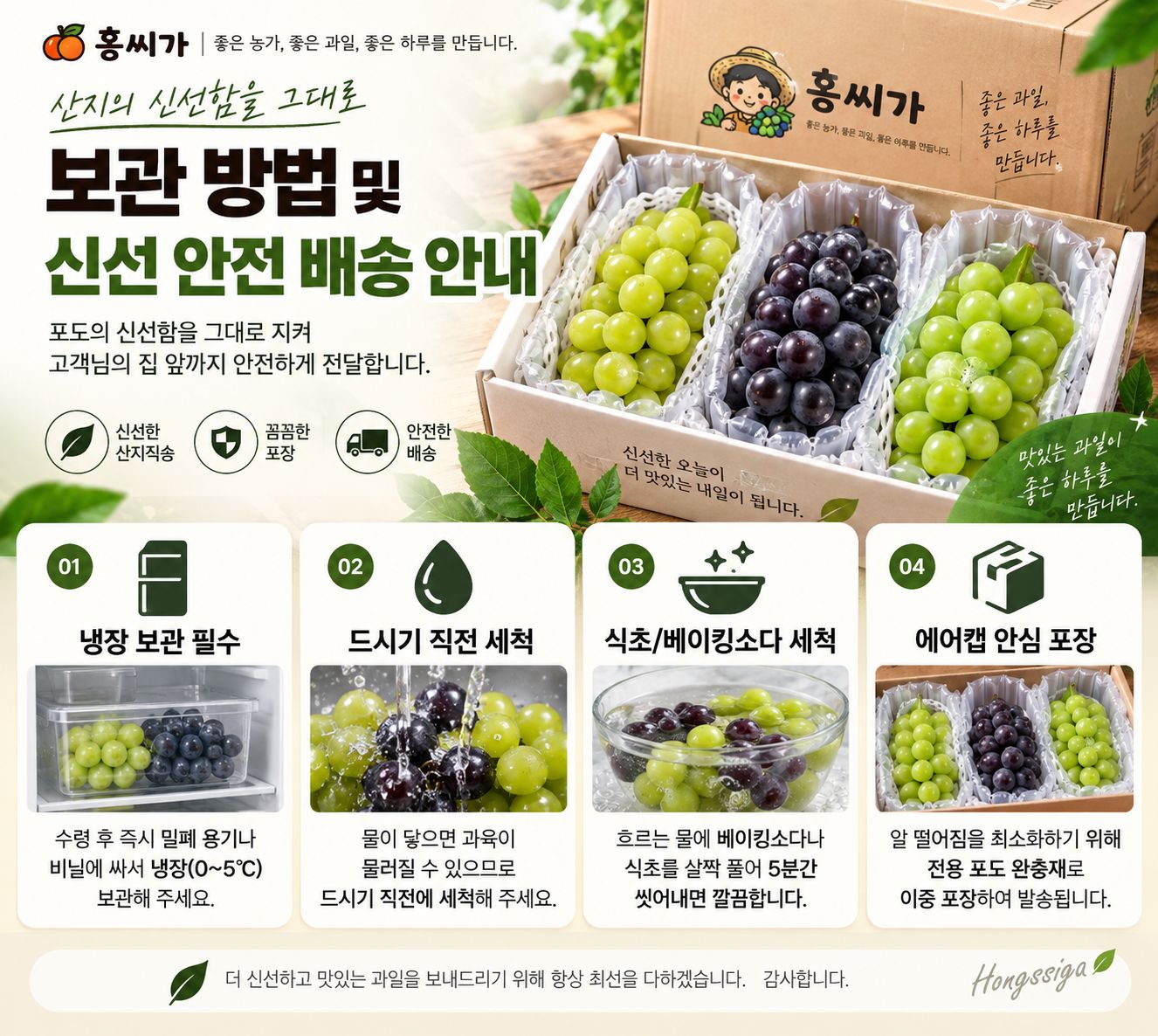 산지직송 프리미엄 포도 3종세트 함부르크 알렉산드리아 샤인머스켓 상세 사진
