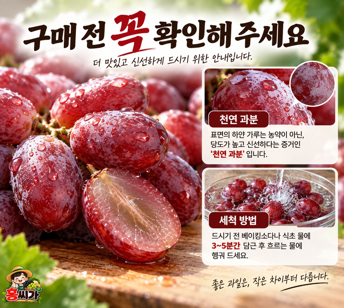 페루산 고당도 씨없는 크림슨 적포도 상세 사진
