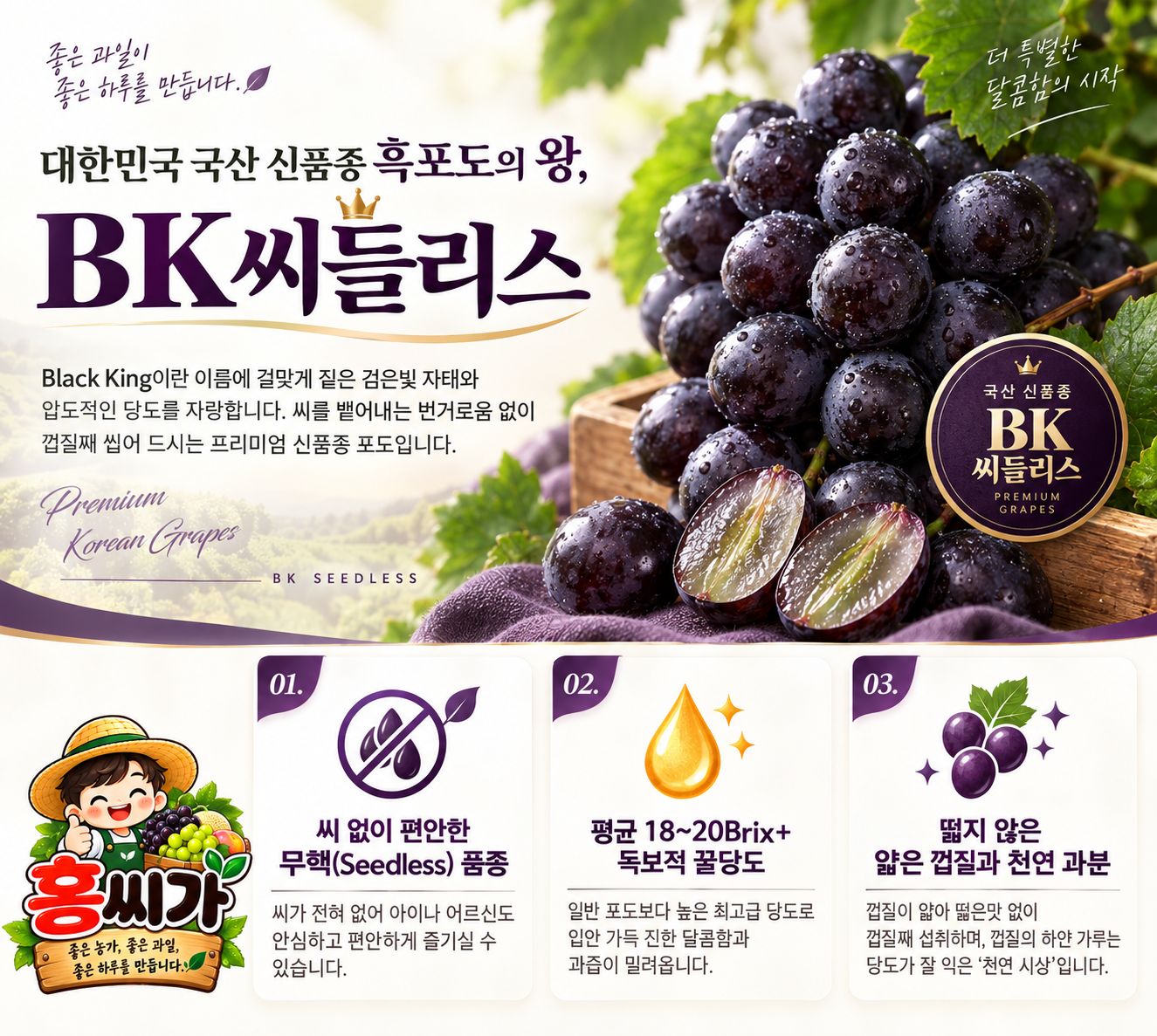[산지직송] 씨 없는 포도 극당도 BK씨들리스 1kg / 2kg 상세 사진