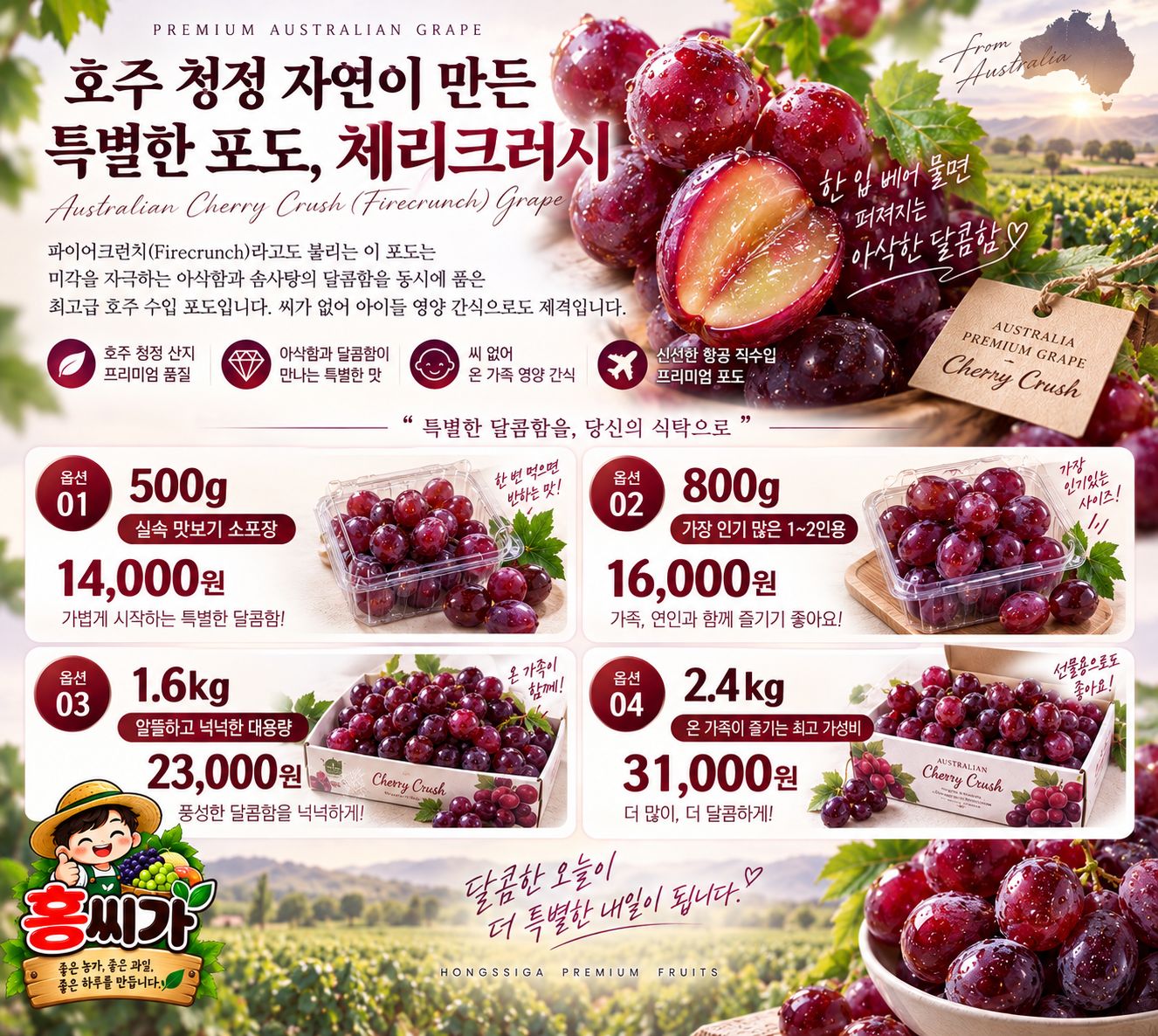 20Brix+ 솜사탕 향 아삭한 사과 식감! 씨 없는 '체리크러시(파이어크런치)' 상세 사진