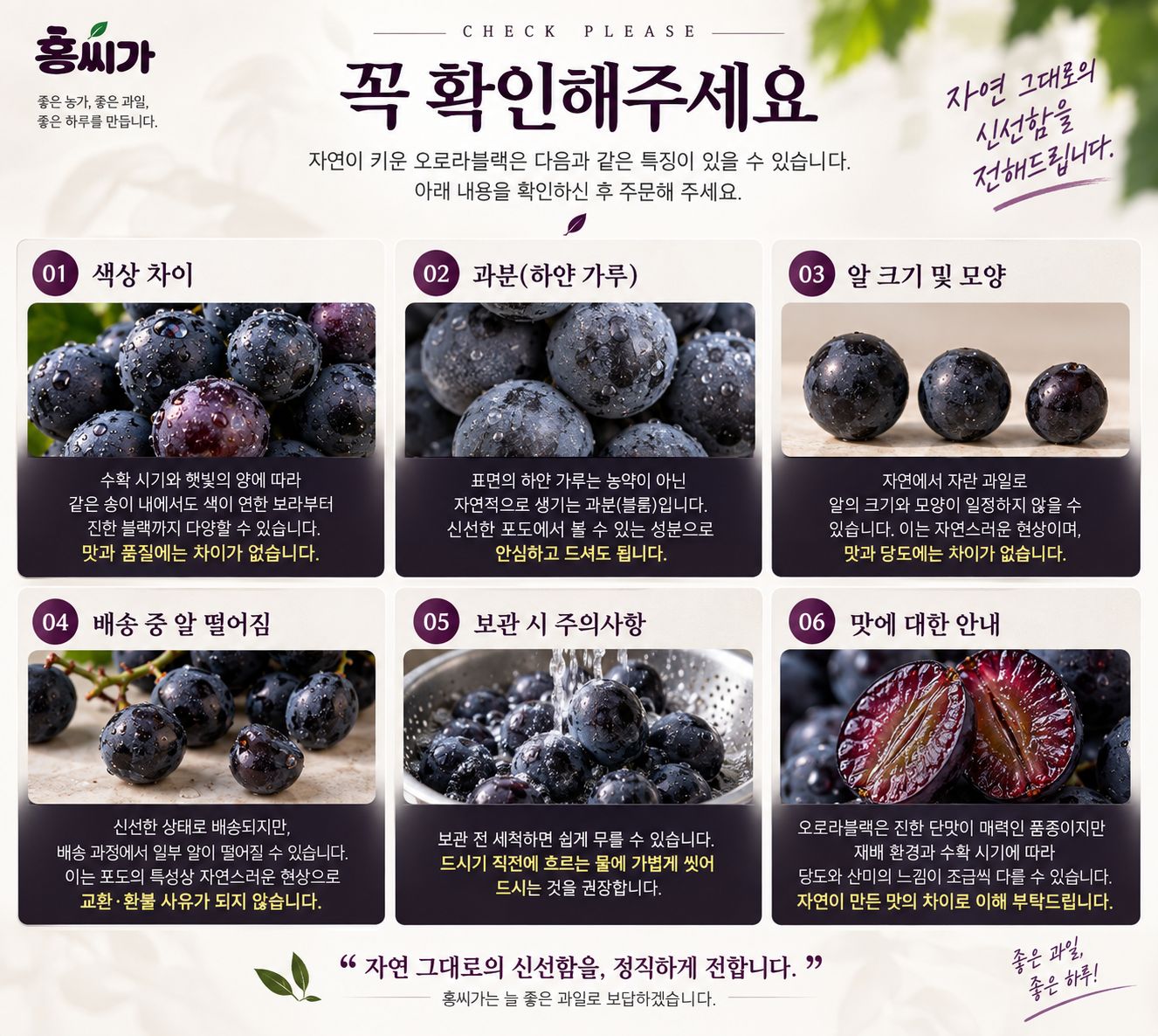 20Brix+ 껍질째 먹는 프리미엄 오로라 블랙 포도 2kg 상세 사진