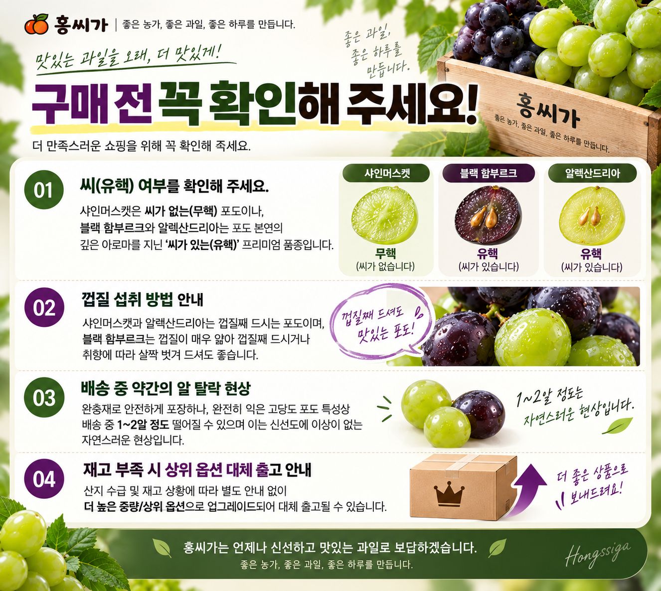 산지직송 프리미엄 포도 3종세트 함부르크 알렉산드리아 샤인머스켓 상세 사진