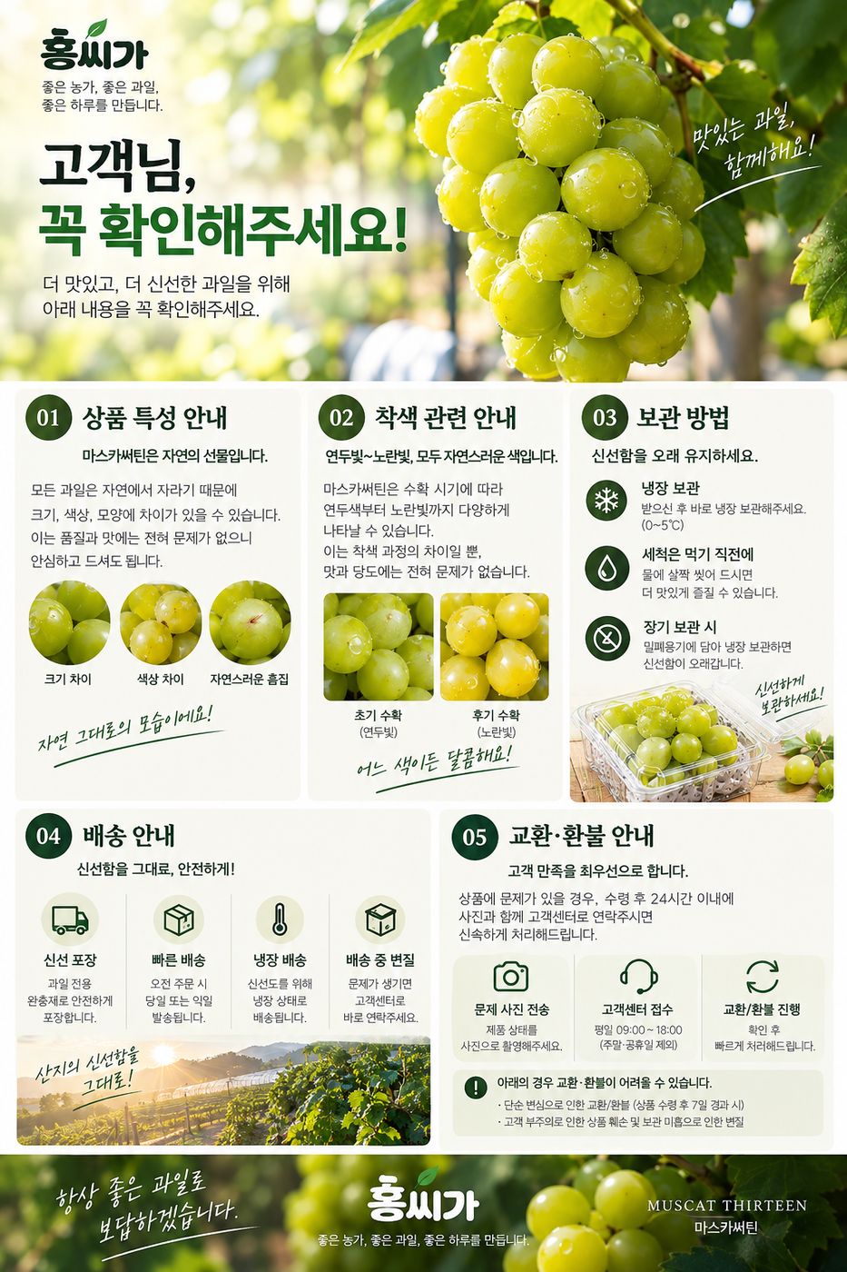 샤인머스캣을 뛰어넘는 18Brix+ 마스카써틴 2kg 상세 사진