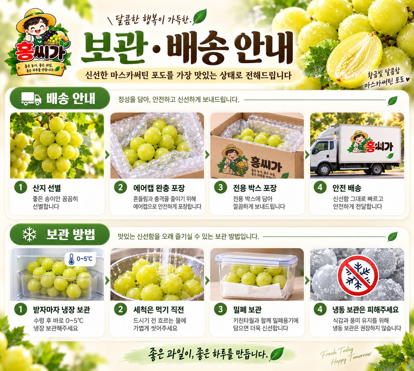 샤인머스캣을 뛰어넘는 18Brix+ 마스카써틴 2kg 상세 사진