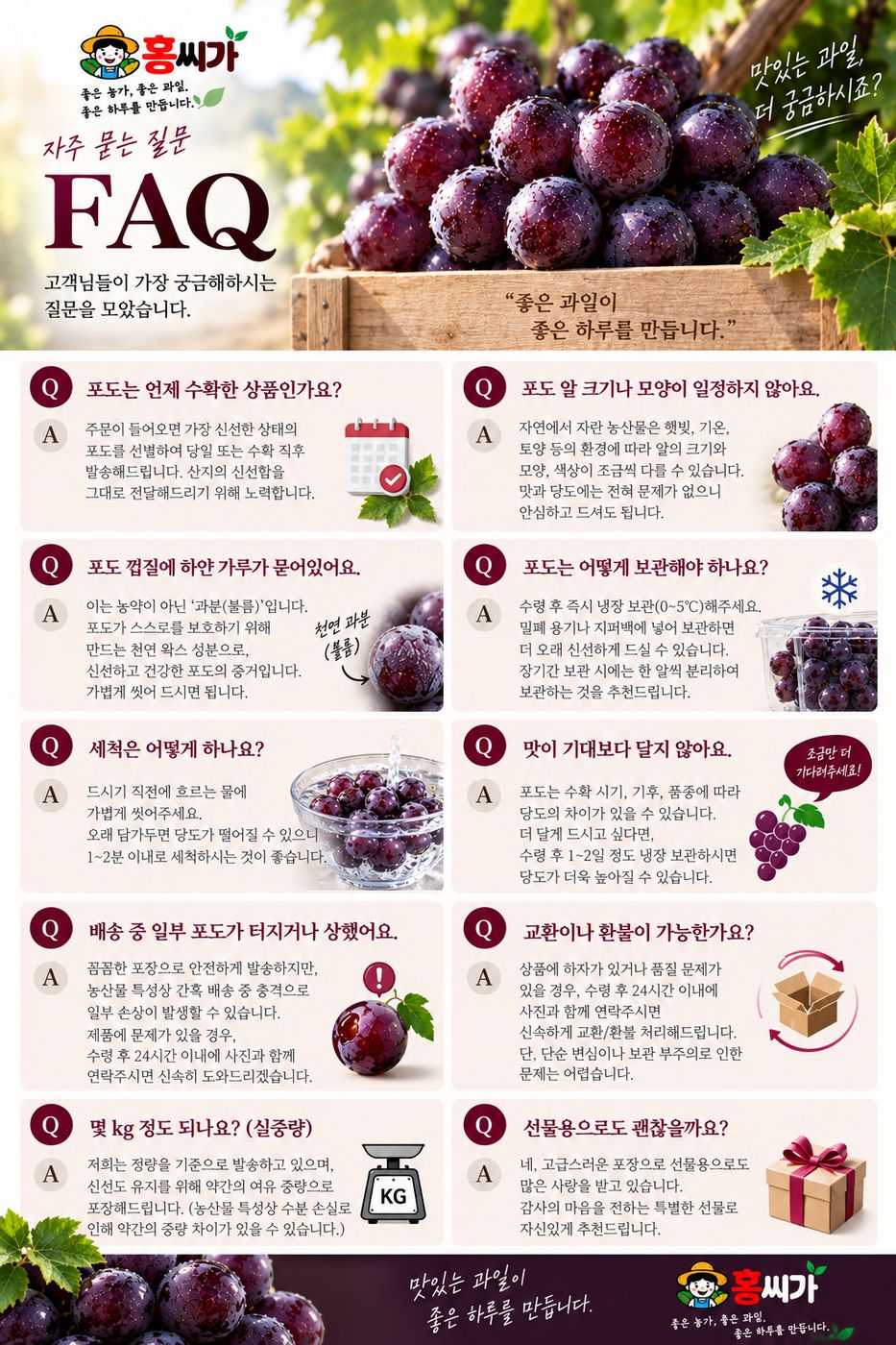 20Brix+ 껍질째 먹는 프리미엄 오로라 블랙 포도 2kg 상세 사진