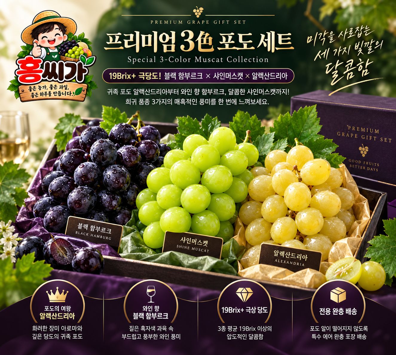 산지직송 프리미엄 포도 3종세트 함부르크 알렉산드리아 샤인머스켓 상세 사진