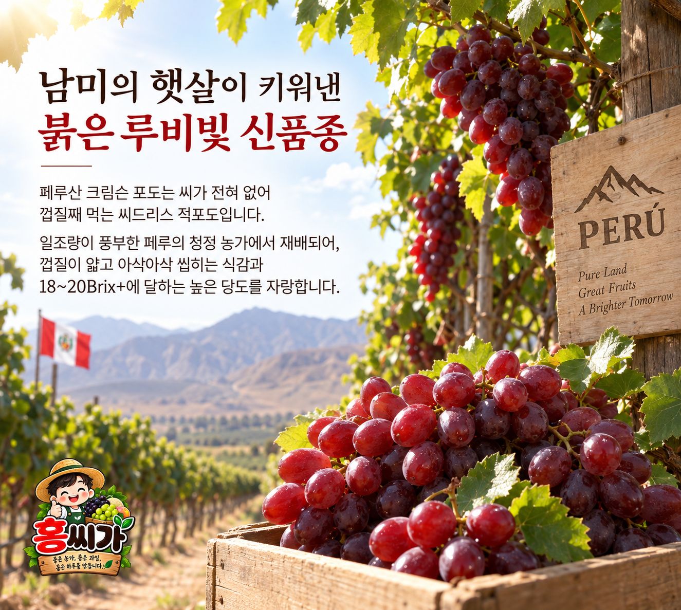 페루산 고당도 씨없는 크림슨 적포도 상세 사진