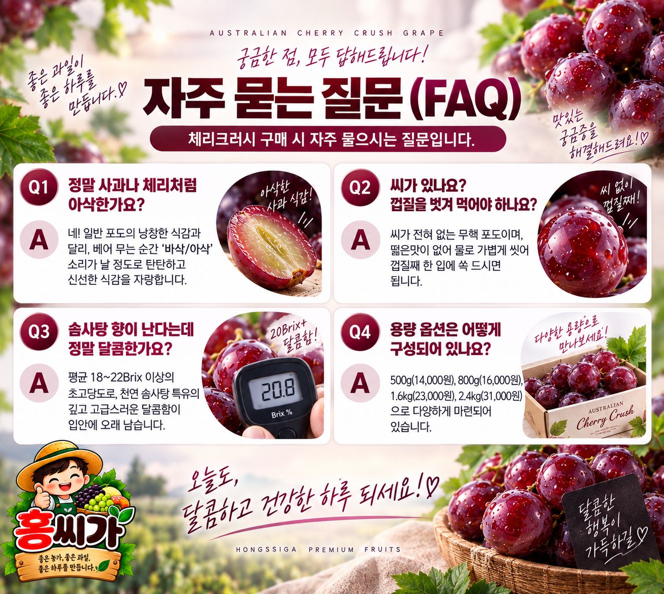 20Brix+ 솜사탕 향 아삭한 사과 식감! 씨 없는 '체리크러시(파이어크런치)' 상세 사진