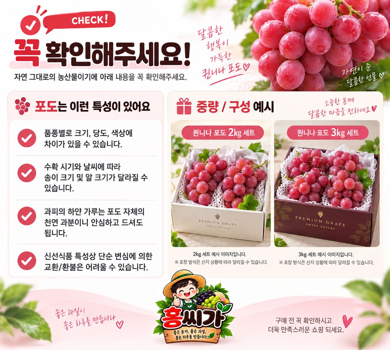 여왕의 포도 씨 없는 프리미엄 퀸니나 2kg 상세 사진