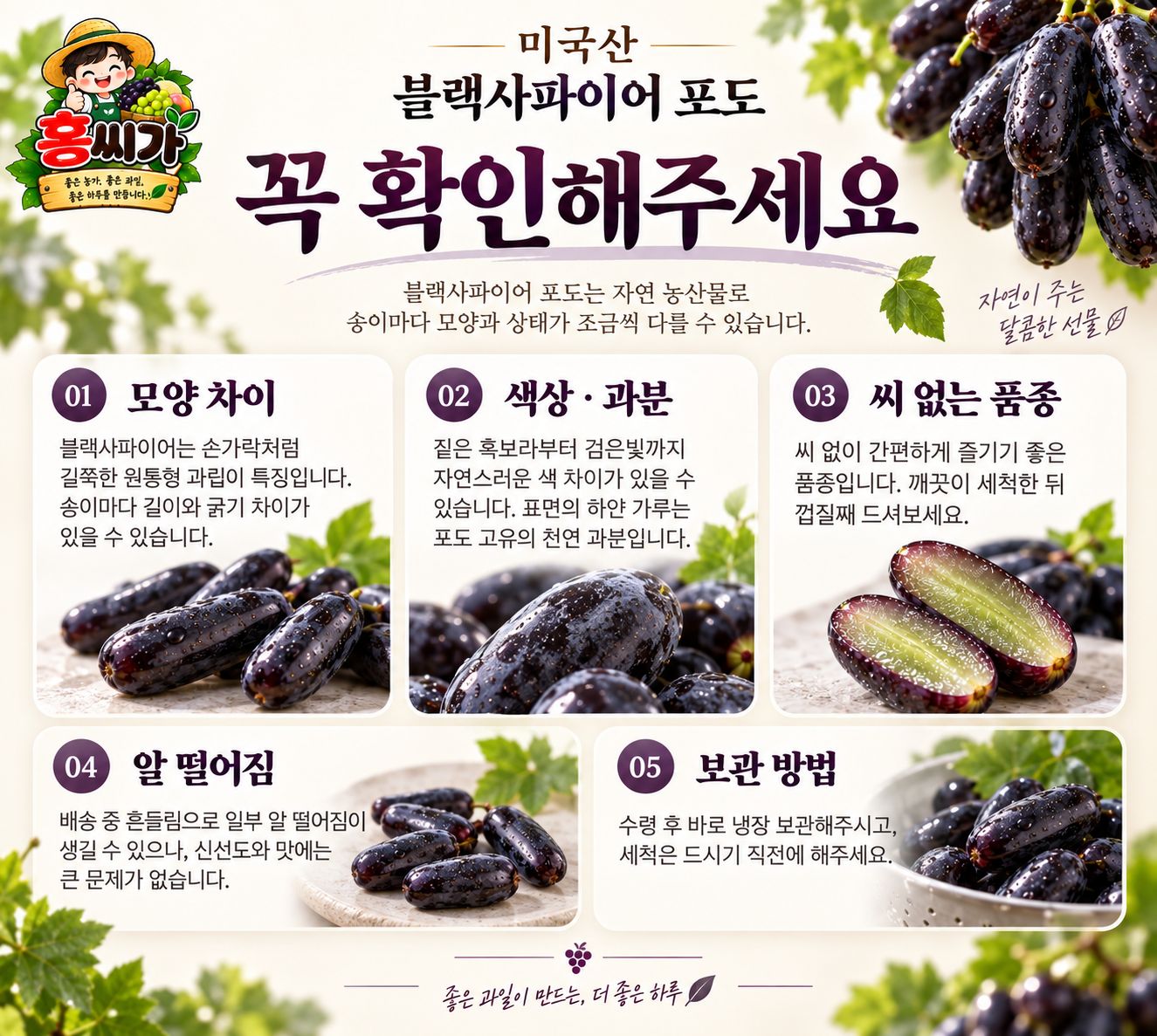 씨 없이 껍질째 먹는 프리미엄 블랙사파이어 포도 800g 2kg 3kg 5kg 상세 사진