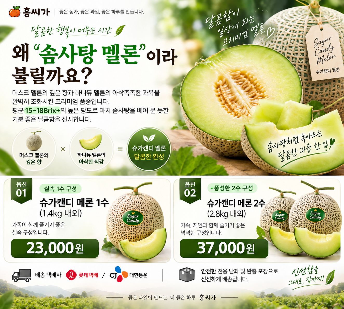 [입안 가득 솜사탕 향] 15~18Brix+ 초고당도 슈가캔디 멜론 상세 사진