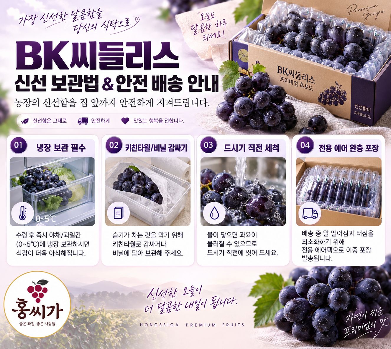 [산지직송] 씨 없는 포도 극당도 BK씨들리스 1kg / 2kg 상세 사진