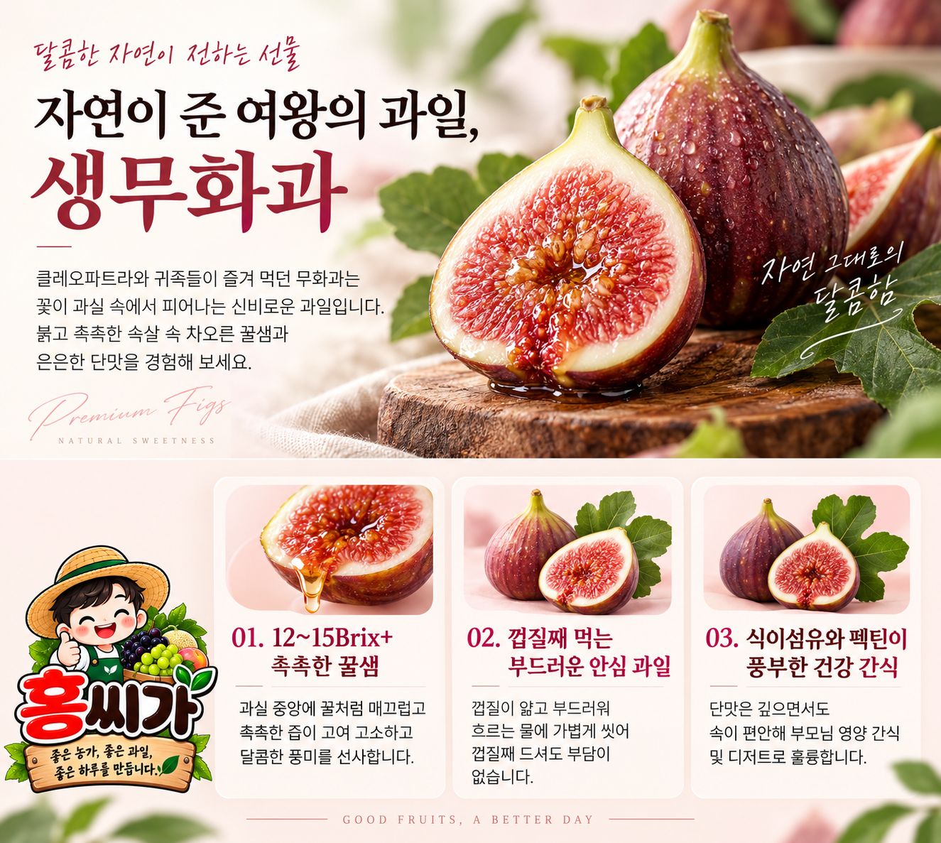 [달콤 촉촉 당도선별] 12~15Brix+ 꿀이 뚝뚝 프리미엄 생무화과 상세 사진