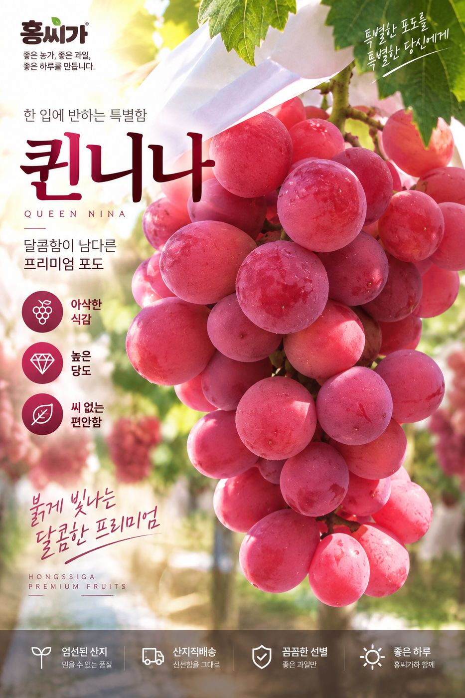 여왕의 포도 씨 없는 프리미엄 퀸니나 2kg 상세 사진