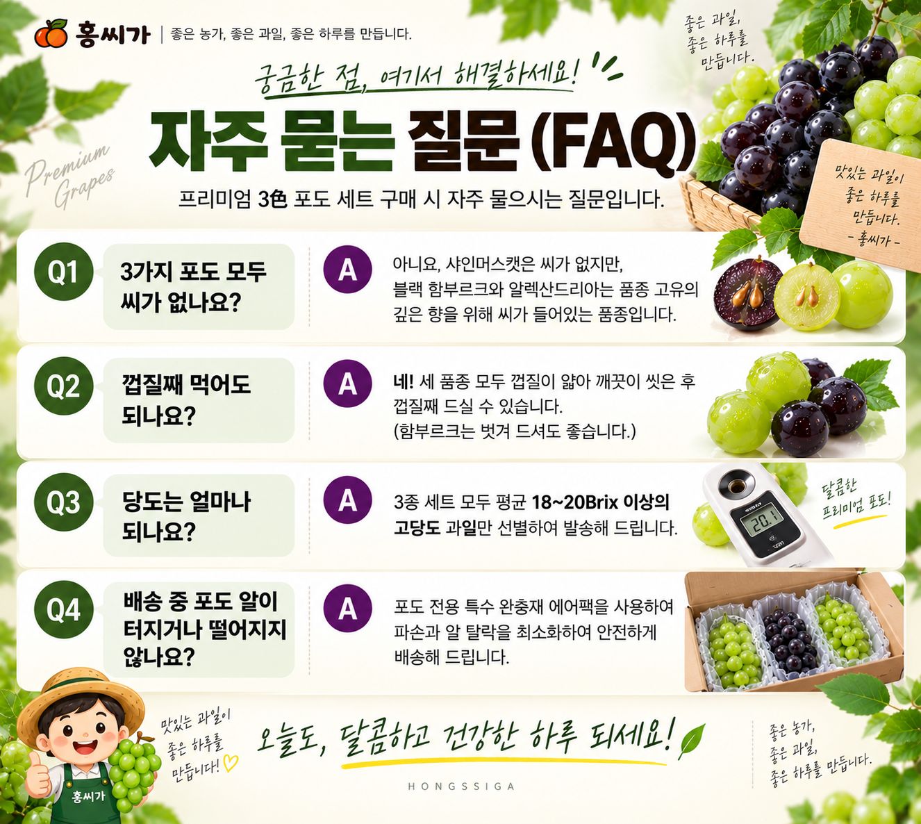 산지직송 프리미엄 포도 3종세트 함부르크 알렉산드리아 샤인머스켓 상세 사진