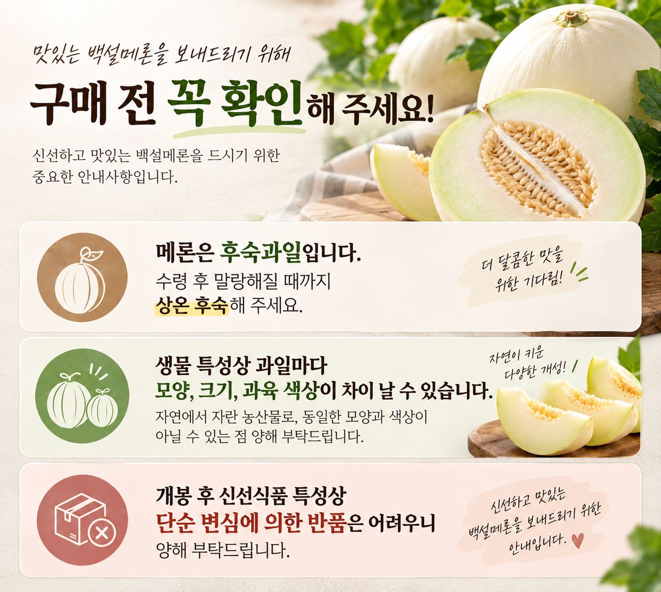 고당도 백설 메론 (수신메론/설향메론) 상세 사진