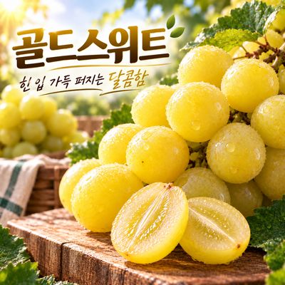 김천 포도명인 고당도 골드스위트 신품종 포도 1KG / 2KG