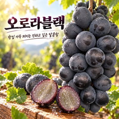 20Brix+ 껍질째 먹는 프리미엄 오로라 블랙 포도 2kg
