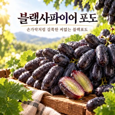 씨 없이 껍질째 먹는 프리미엄 블랙사파이어 포도 800g 2kg 3kg 5kg
