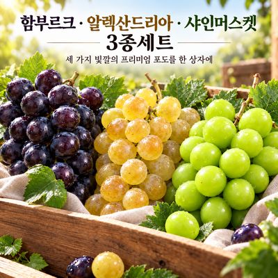 산지직송 프리미엄 포도 3종세트 함부르크 알렉산드리아 샤인머스켓