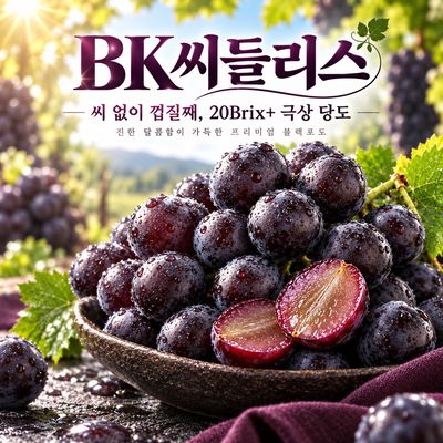 [산지직송] 씨 없는 포도 극당도 BK씨들리스 1kg / 2kg